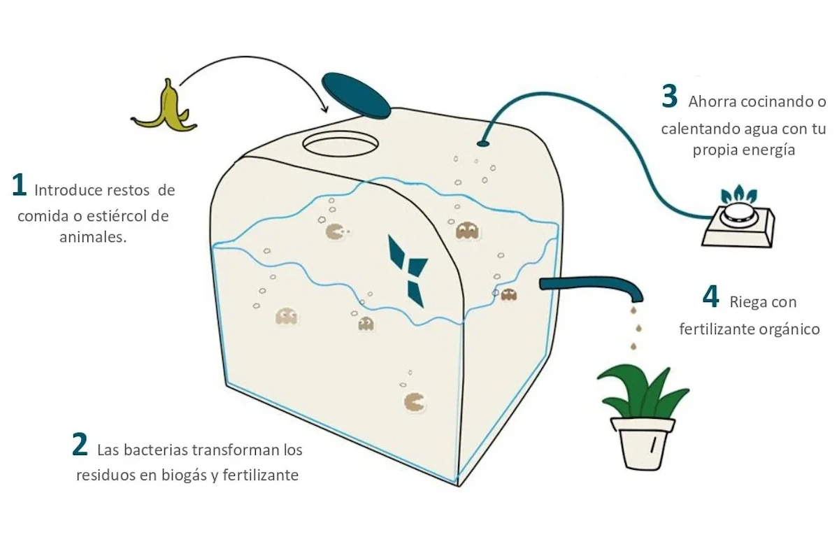 biodigestor domestico
