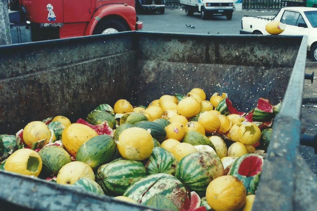 ley desperdicio alimentario