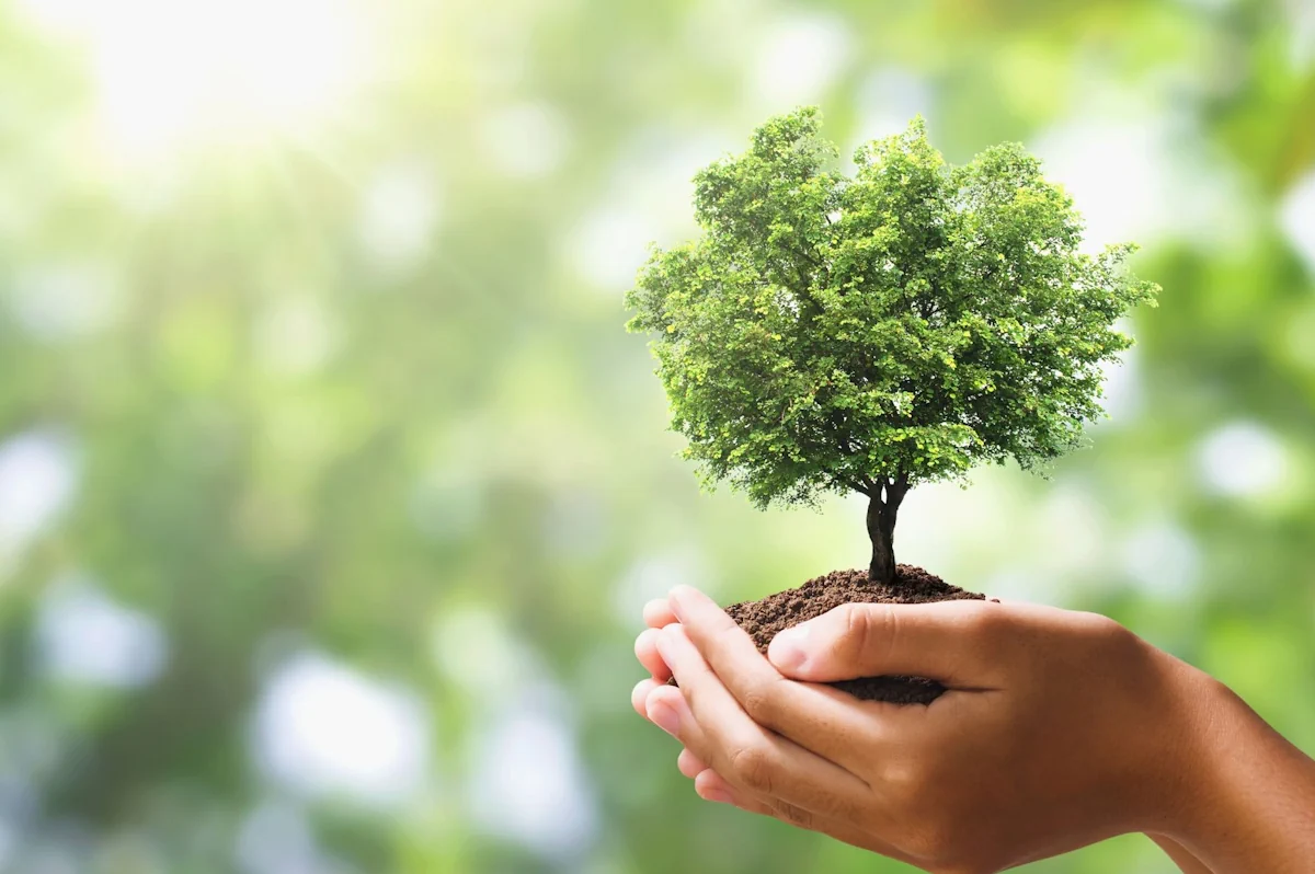 conciencia ambiental